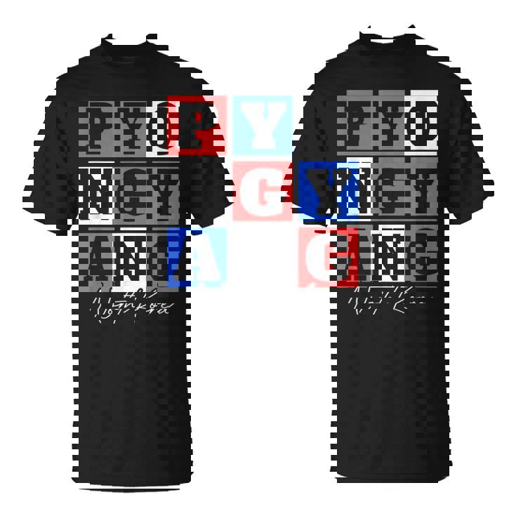 平壌 北朝鮮 旅行 バケーション お土産 Tシャツ