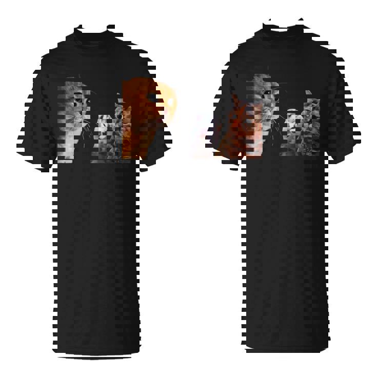 猫ミーム 説教する猫 怒られる猫 泣き叫ぶ猫 説教 怒る かわいい 面白い 人気 楽しい ハッピー Tシャツ