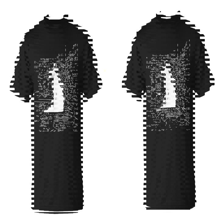 箱の中のシュレディンガーの猫 Tシャツ