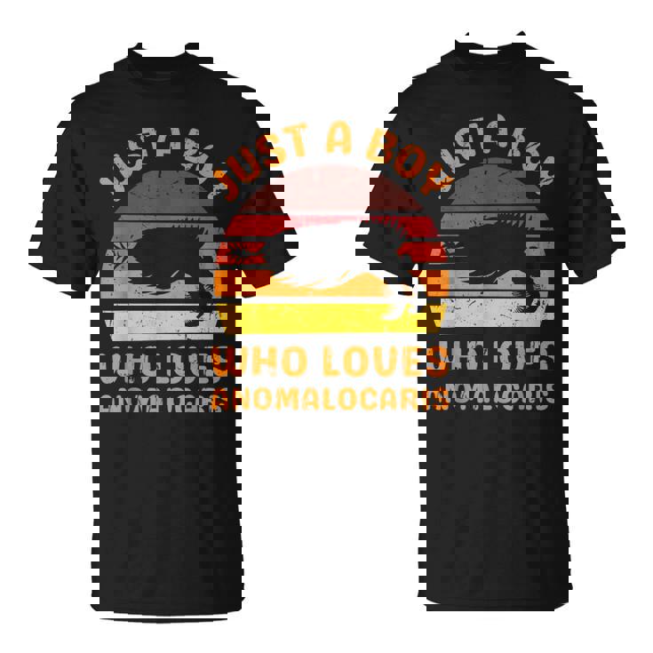 絶滅した節足動物アノマロカリスが大好きなただの少年 Tシャツ