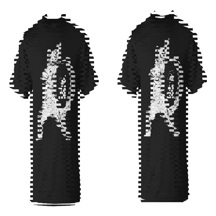 陽気な猫 太極拳ポーズ 格闘技 陰陽バランス Tシャツ