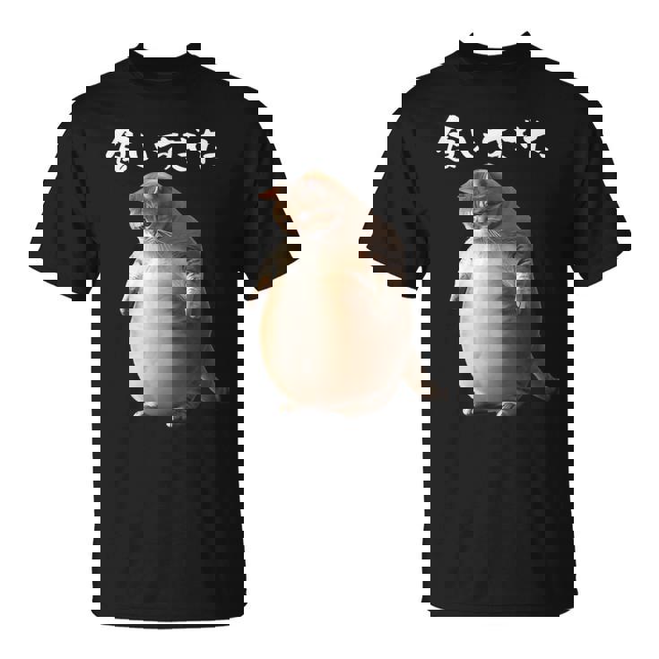 面白いtシャツ 猫 ネコ メンズ 猫好き グッズ おもしろ 面白い 服 ネタ にゃんこ 猫の下僕 ダイエット Tシャツ