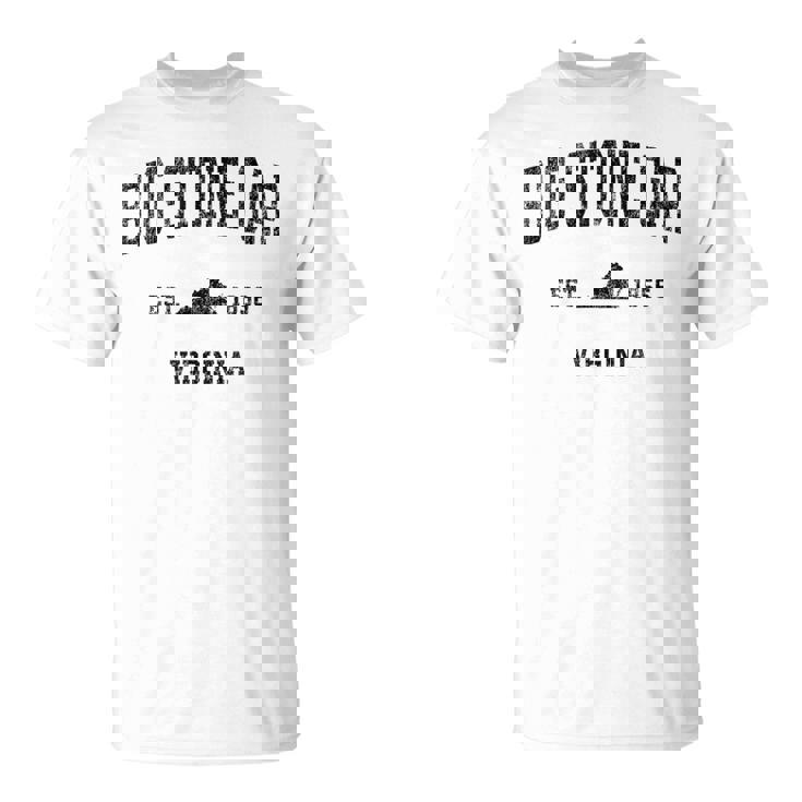 Bigtone Gap バージニアa ビンテージ スポーツデザイン ブラックプリント Tシャツ