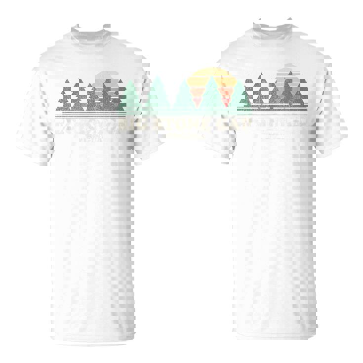 Bigtone Gapaヴィンテージスローバックtシャツ レトロ70年代デザイン Tシャツ