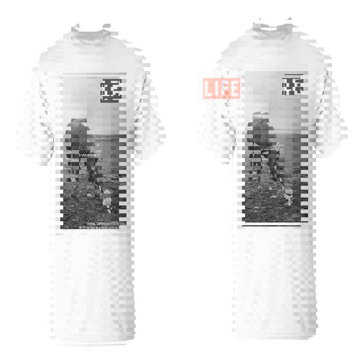Life Picture Collection 馬と猫（1） Tシャツ