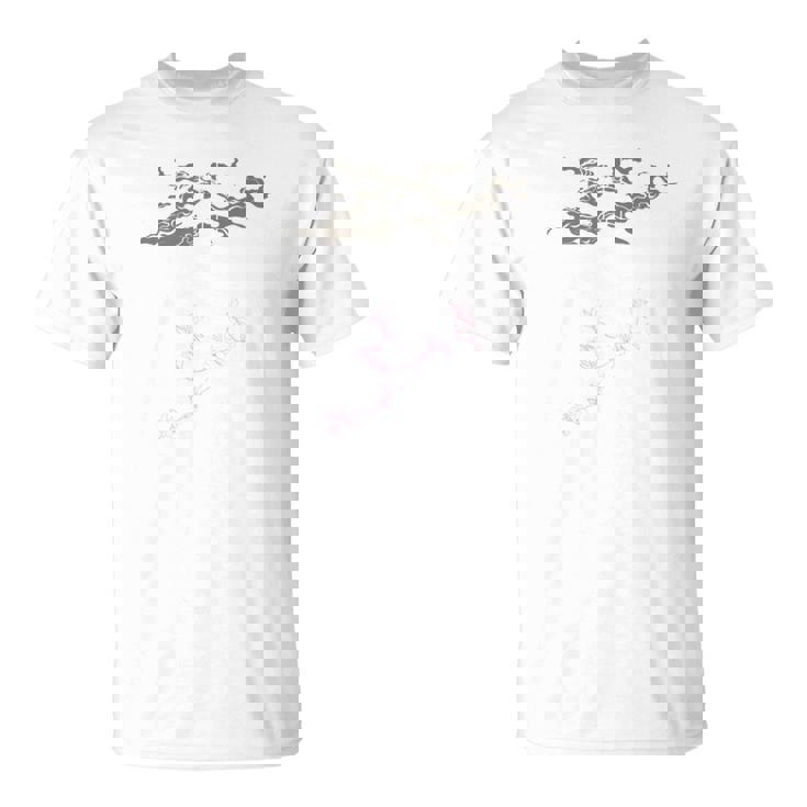 「麒麟に似た雲／とほかみえみため」 言霊 ホツマ文字 ヲシテ文字 とほかみゑひため 龍神 開運 お守り バックプリント 長袖tシャツ Tシャツ