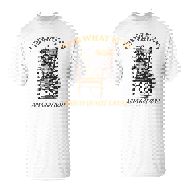 アライグマのミーム It's What It's And It Is Not Greatarcastic Tシャツ