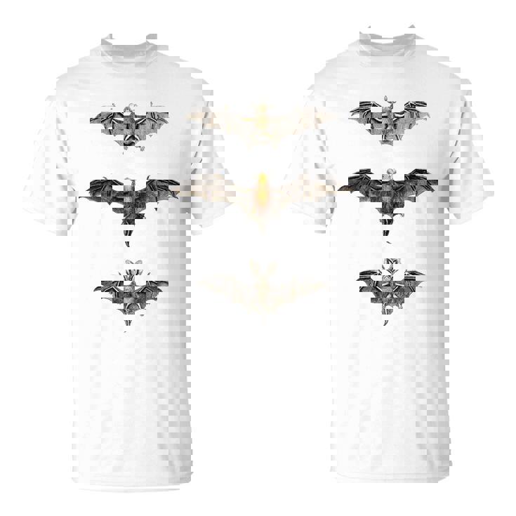 コウモリ 科学イラスト 描画 生物学 アート ハロウィン Tシャツ