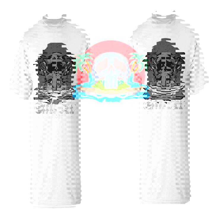 サンタクルーズ カリフォルニア ヴィンテージ レトロ 長袖tシャツ Tシャツ