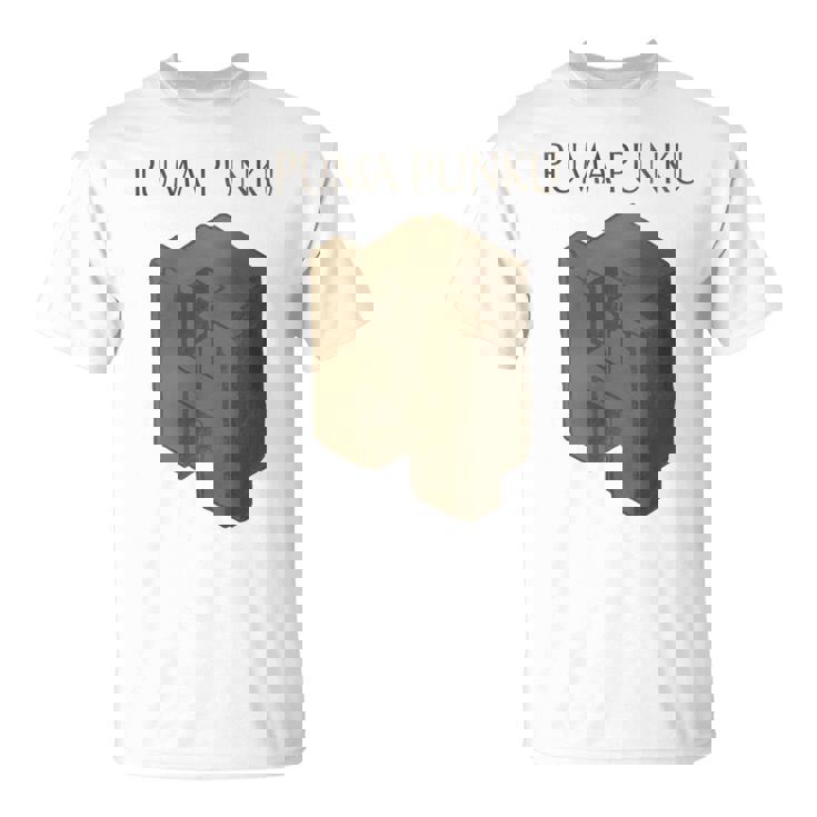 プーマ プンク 長袖tシャツ Tシャツ