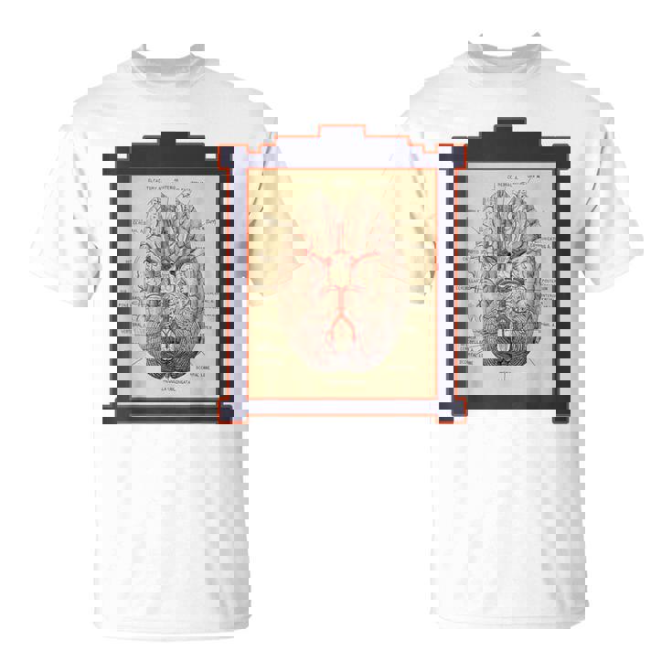 ヴィンテージ 人間の脳 解剖図 Tシャツ