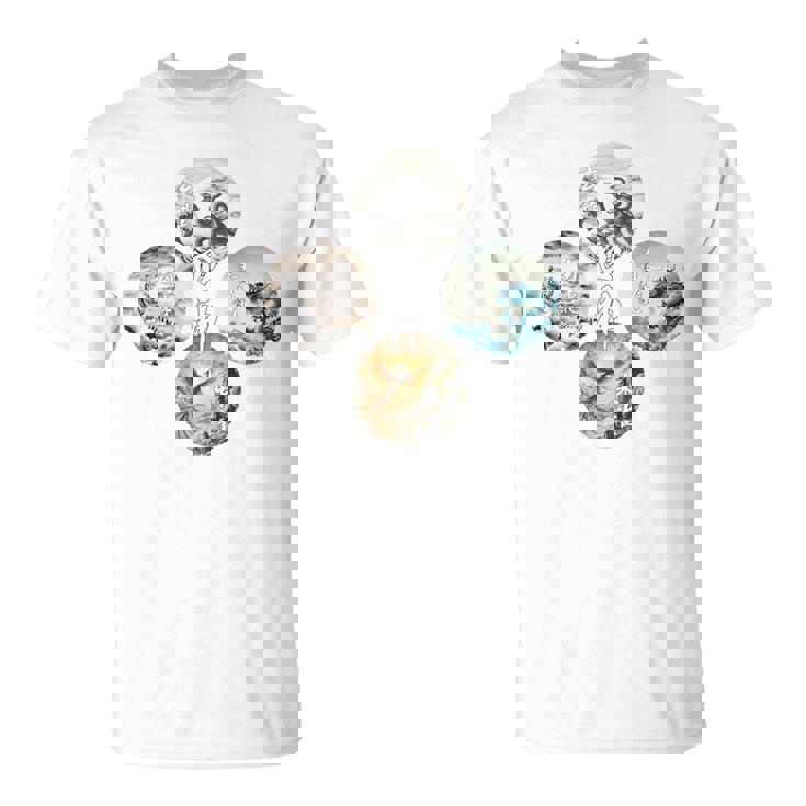 四神 青龍 白虎 朱雀 玄武 四象 東西南北 バックプリント Tシャツ