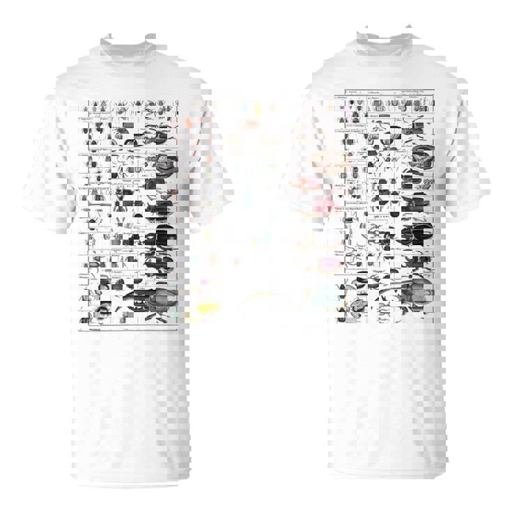 昆虫コレクション種ヴィンテージバグチャート昆虫学 Tシャツ