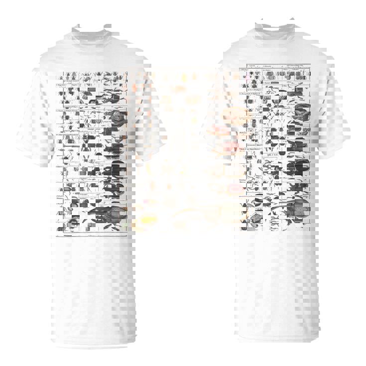昆虫学者 昆虫学 昆虫 虫の種類 Tシャツ