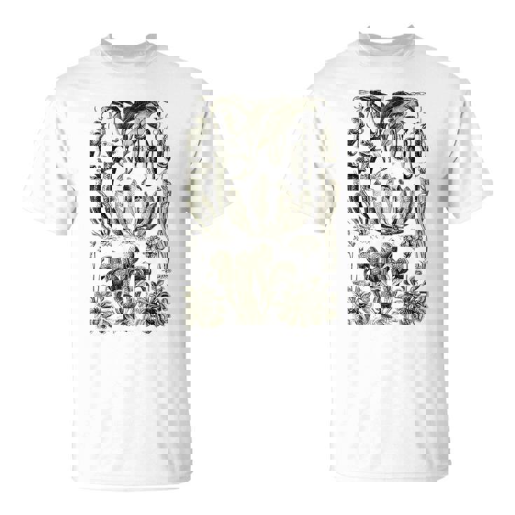 食虫植物 ヴィンテージ サラセニア ボタニカル Tシャツ