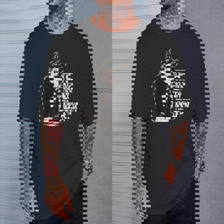 The Fuck You Lookin At 猫好きのための面白い下品なノベルティ Tシャツ 彼への贈り物