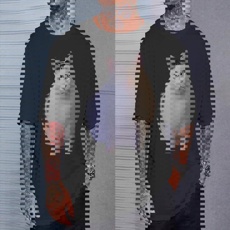 Meme Huh Catミームハァキャット面白い Tシャツ 彼への贈り物