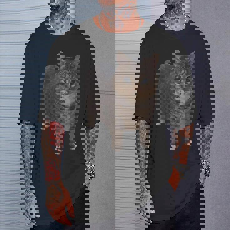 Oiia Oiia 猫 面白い 回転する猫 ミーム Tシャツ 彼への贈り物