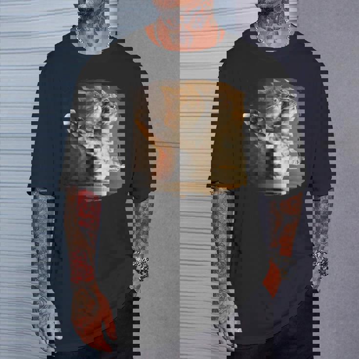 TitaniCムービーにインスパイアされた面白い猫好きのミーム。 Tシャツ 彼への贈り物