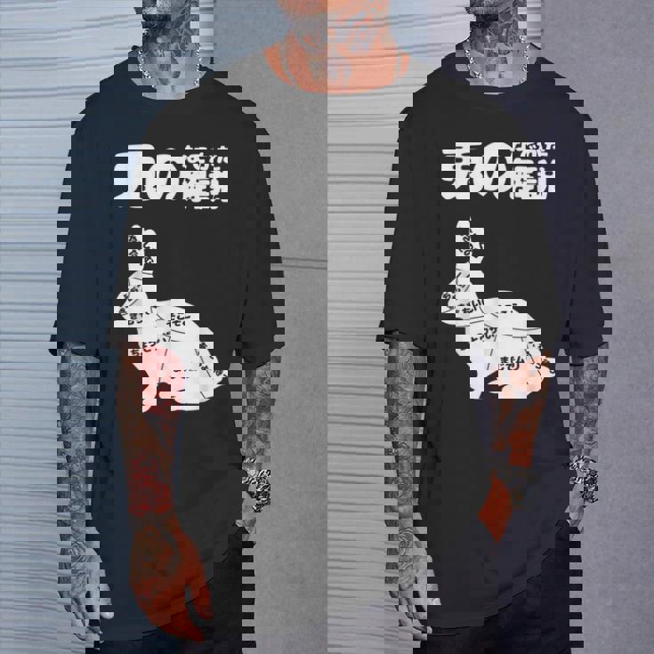 うさぎの撫で方解説 ウサギ好き うさぎ好き うさぎの飼い主 おもしろ うさぎ 兎 Tシャツ 彼への贈り物