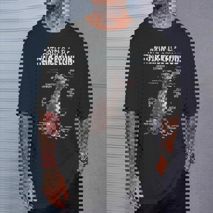 イタリアングレイハウンドの解剖学 Tシャツ 彼への贈り物