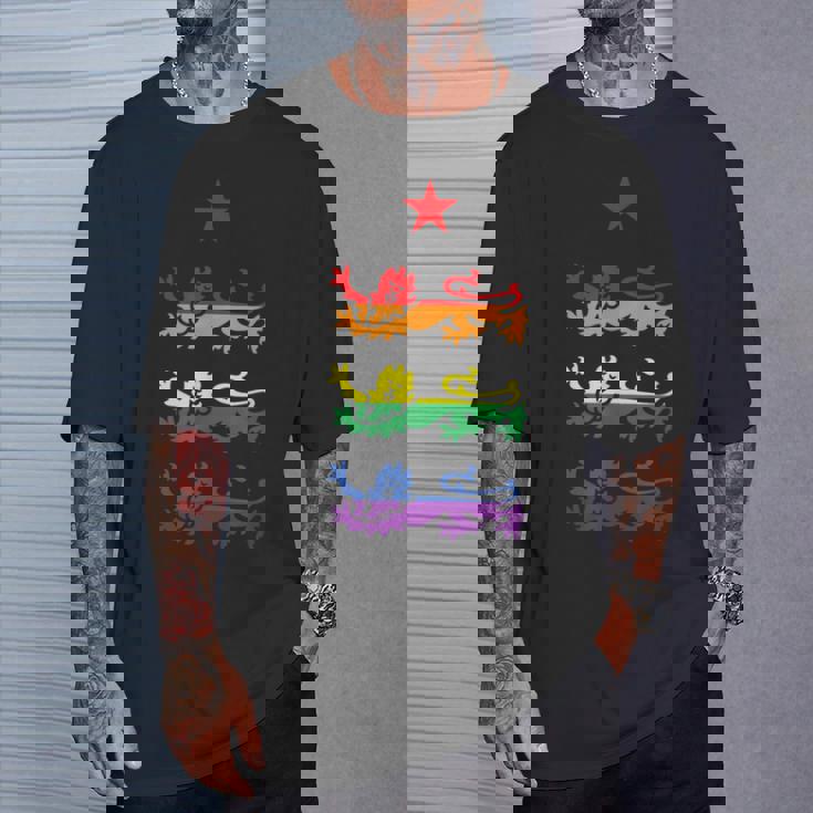 イングランド スリーレインボー プライド 紋章ライオンズ サッカー フットボール Tシャツ 彼への贈り物