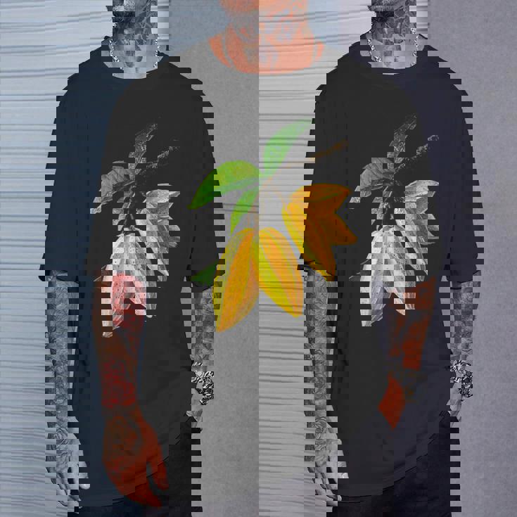 スターフルーツ フルーツ モチーフ イラスト スターフルーツ Tシャツ 彼への贈り物