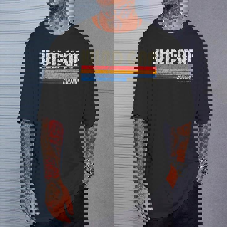 ビンテージ レトロ 70年代 80年代スタイル 風のギャップの故郷、Pa Tシャツ 彼への贈り物