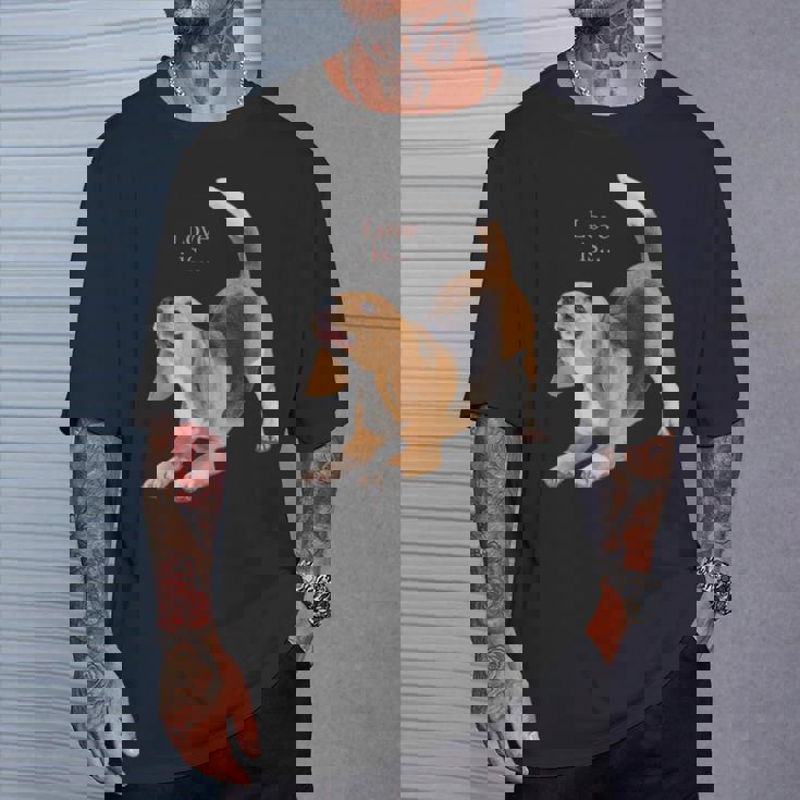 ビーグルシャツ ビーグルtシャツ Love Is Dog Mom Dad 子犬 ペット キュート Tシャツ 彼への贈り物