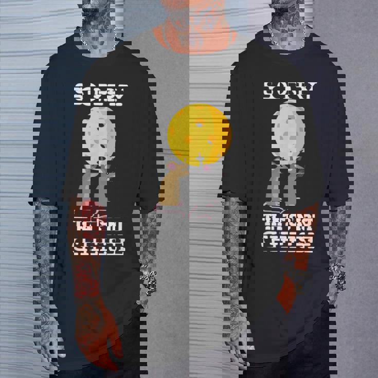 ピックルボール用パドル ラケット、ピックルボール用ボール、ピックルボール Tシャツ 彼への贈り物