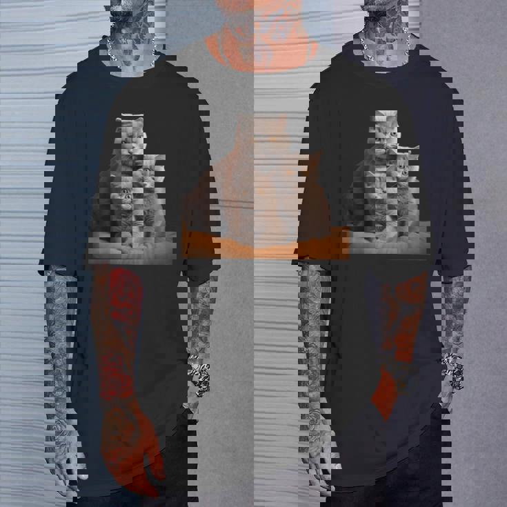 ブリティッシュショートヘアキャット 母の日 ブリティッシュショートヘアキャット Tシャツ 彼への贈り物