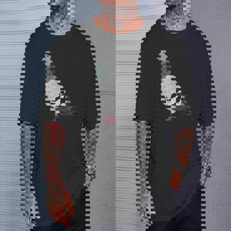 伝書鳩 鳥 動物 図 バードウォッチング 贈り物 鳥類学者 Tシャツ 彼への贈り物