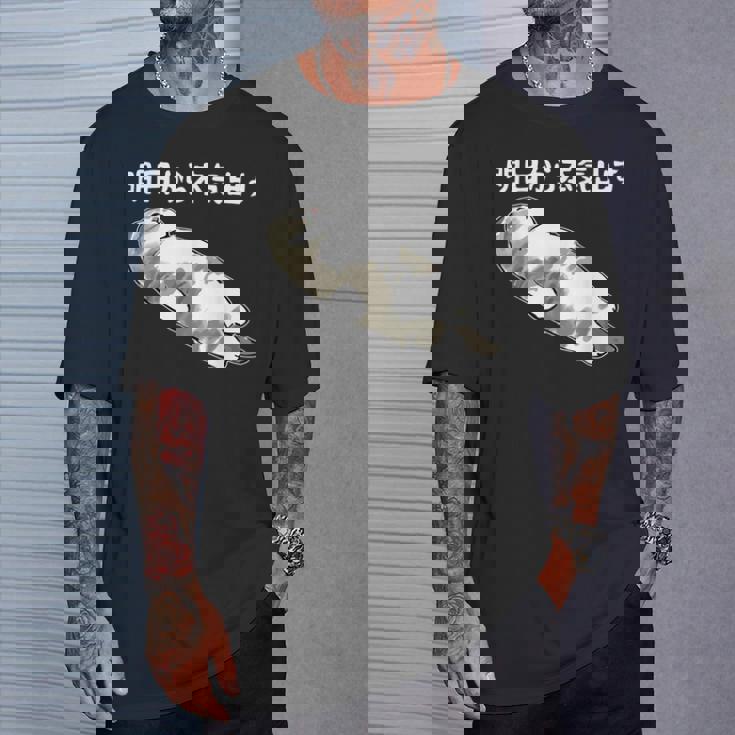 明日から本気出す 面白い猫のことわざ Tシャツ 彼への贈り物