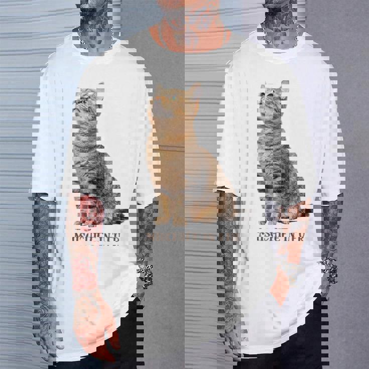 Mischief In Fur 猫写真 キジトラ 猫好き ネタ 猫しもべ 猫飼い 猫依存症 猫オーナー Tシャツ 彼への贈り物