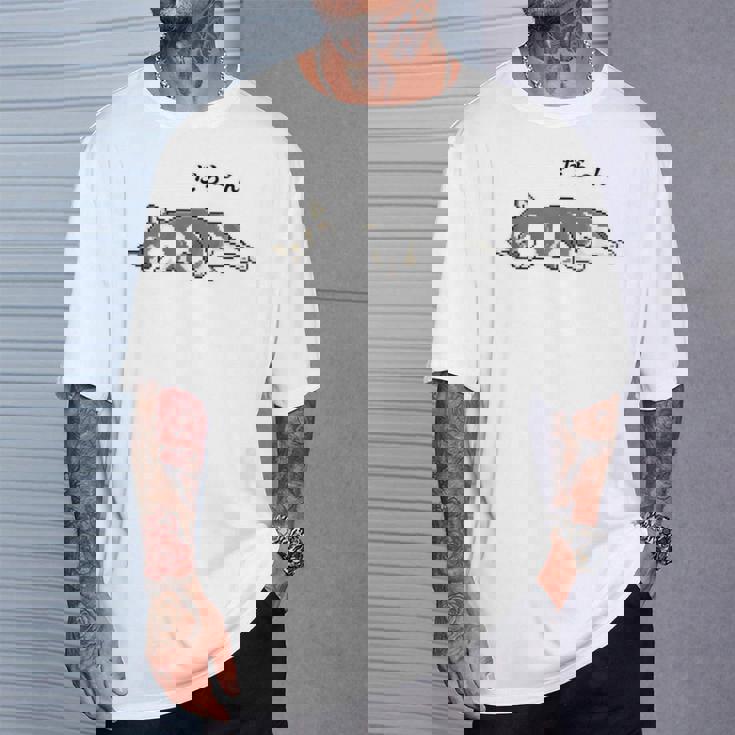 だらーんとくつろいでいる黒柴 柴犬のドット絵 Tシャツ 彼への贈り物