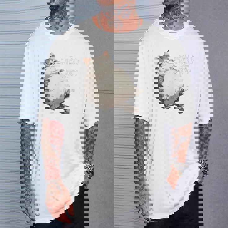 わがままボディ 猫 ねこ 太ったねこ ぽっちゃり 好ねこき かわいい おもしろ 面白い Tシャツ 彼への贈り物