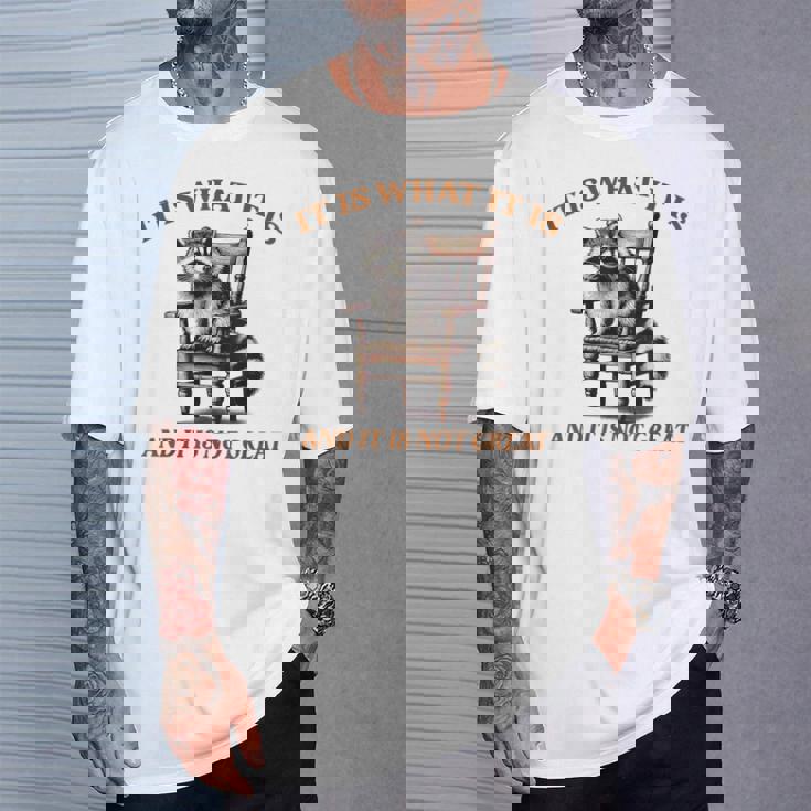 アライグマのミーム It's What It's And It Is Not Greatarcastic Tシャツ 彼への贈り物