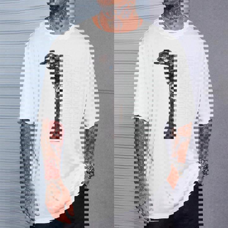 イタリアングレイハウンド 長袖tシャツ Tシャツ 彼への贈り物