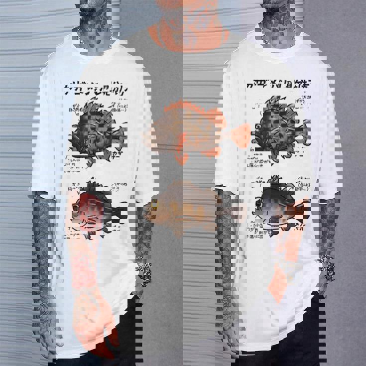 カサゴとメバルの見分け方 Tシャツ 彼への贈り物