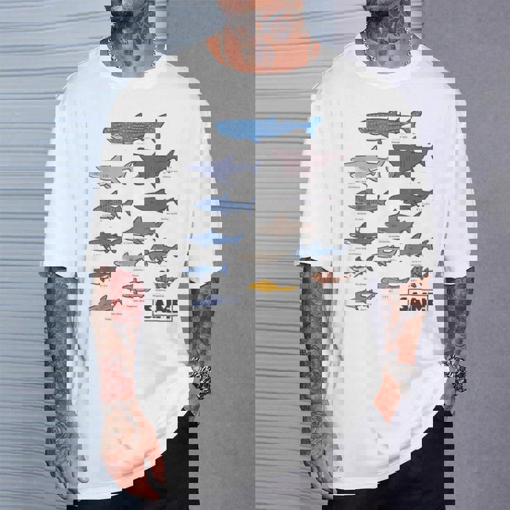 サメ図鑑 Tシャツ 彼への贈り物