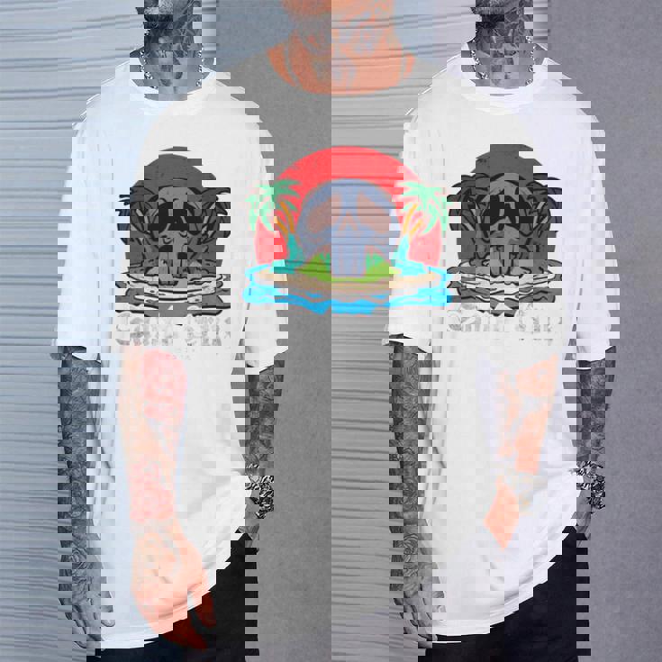 サンタクルーズ カリフォルニア ヴィンテージ レトロ 長袖tシャツ Tシャツ 彼への贈り物