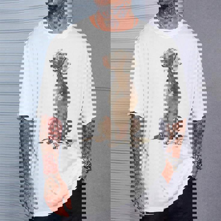 ワイマラナー 犬 グラフィック ペット イラスト ワイマラナー Tシャツ 彼への贈り物