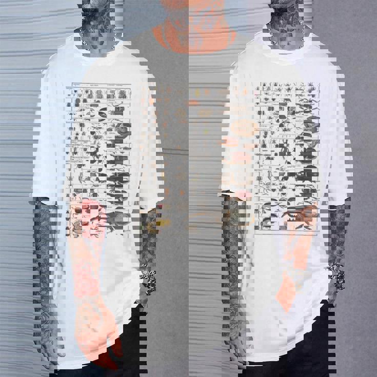 昆虫学者 昆虫学 昆虫 虫の種類 Tシャツ 彼への贈り物