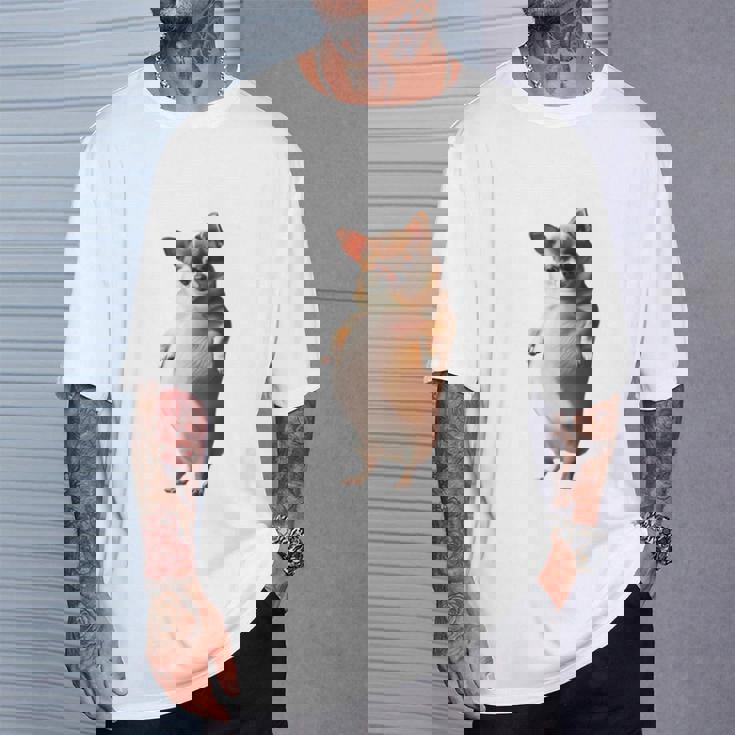 面白いtシャツ チワワ 犬 わがままボディ イヌ わんこ メンズ 犬好き グッズ おもしろ 面白い 服 ネタ 長袖tシャツ Tシャツ 彼への贈り物