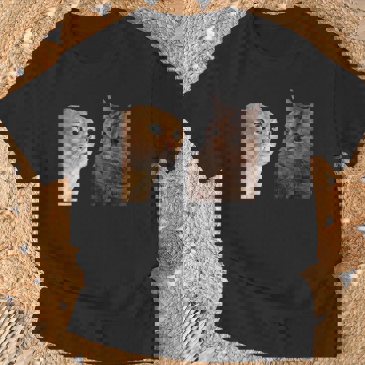 2匹の猫がミームを話す Tシャツ 高齢者への贈り物