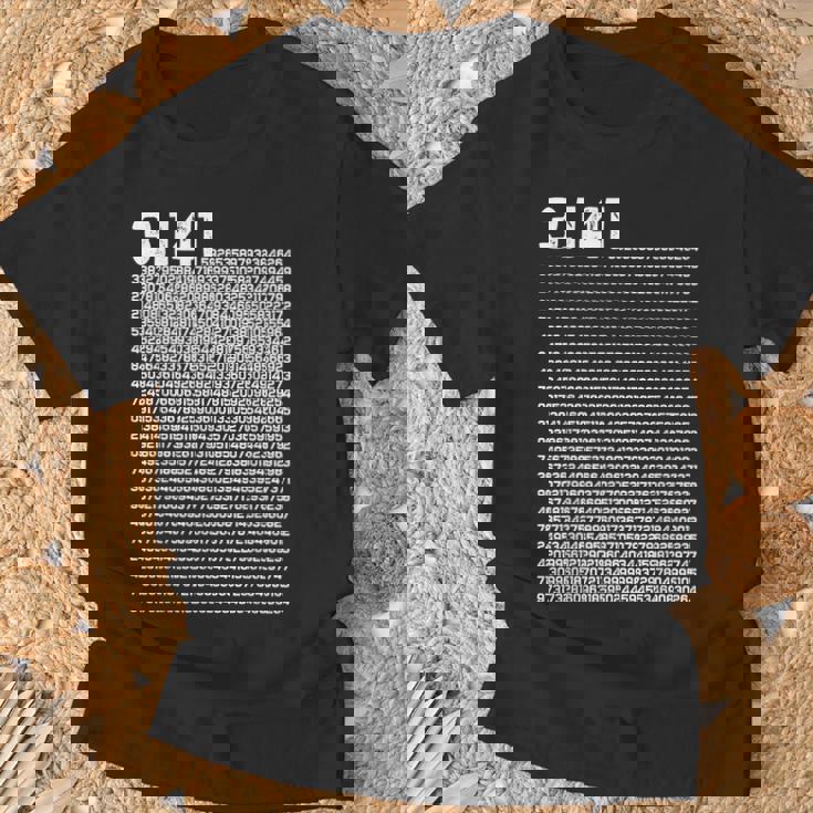 314 円周率の日 数学 非合理数 円周率 Tシャツ 高齢者への贈り物