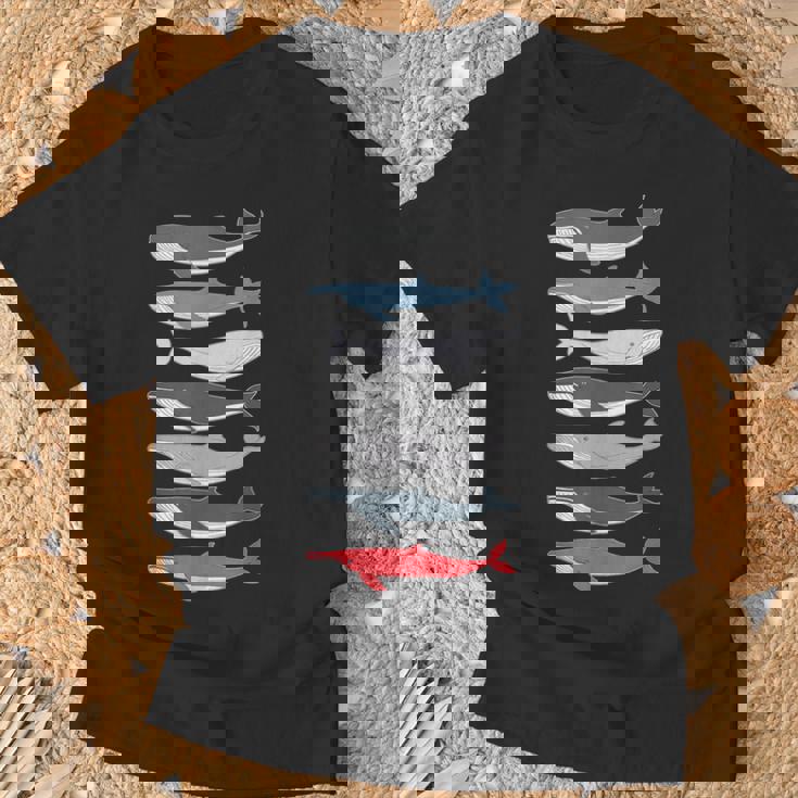 7 Tipos De Ballenas Especies De Razas De Ballenas Amante De Las Ballenas Camiseta unisex Regalos para ancianos