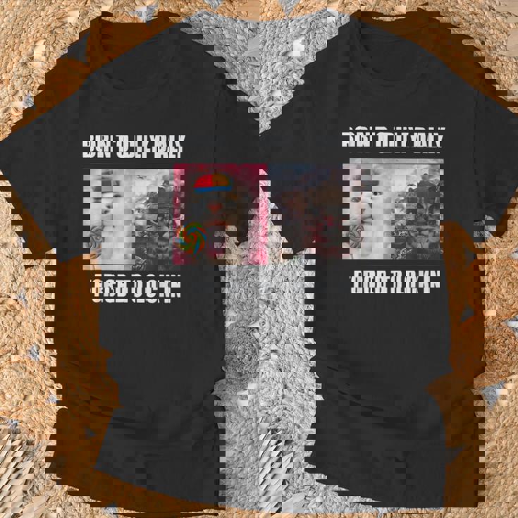 Born To Dilly Dally 強制的にロックインキャット ミーム Tシャツ 高齢者への贈り物