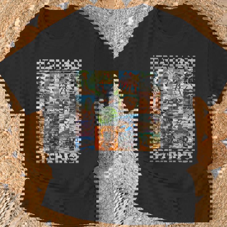 Brainrot Meme イタリアンブレイン 腐敗 イタリアンブレイン Tシャツ 高齢者への贈り物