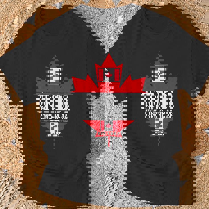 Canada Is Notale 1867 Dad Flag ゴルフビーバー 面白い帽子 Tシャツ 高齢者への贈り物